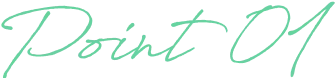 Point 01